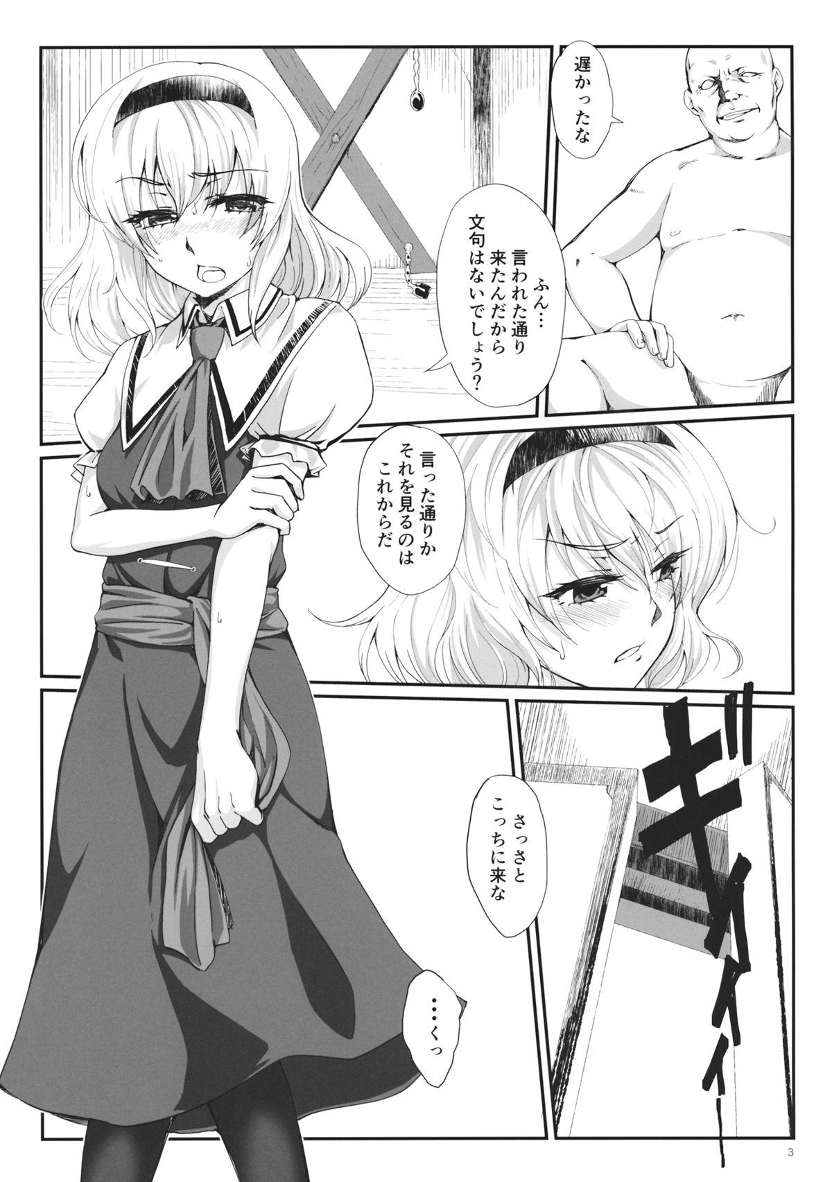 Skirt Inkoku Shuushuu - Touhou project Amateurs - Page 2