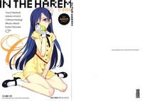 IN THE HAREM C SIDE 1