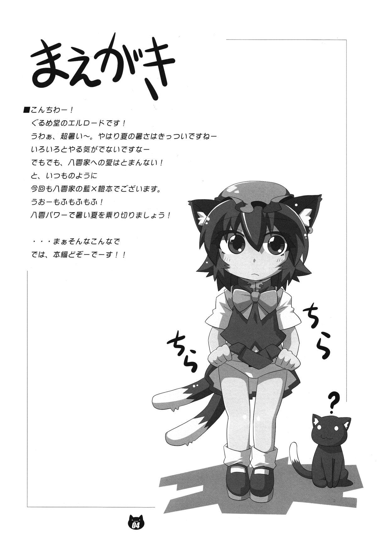 FOX&CAT Yakumoshiki 2