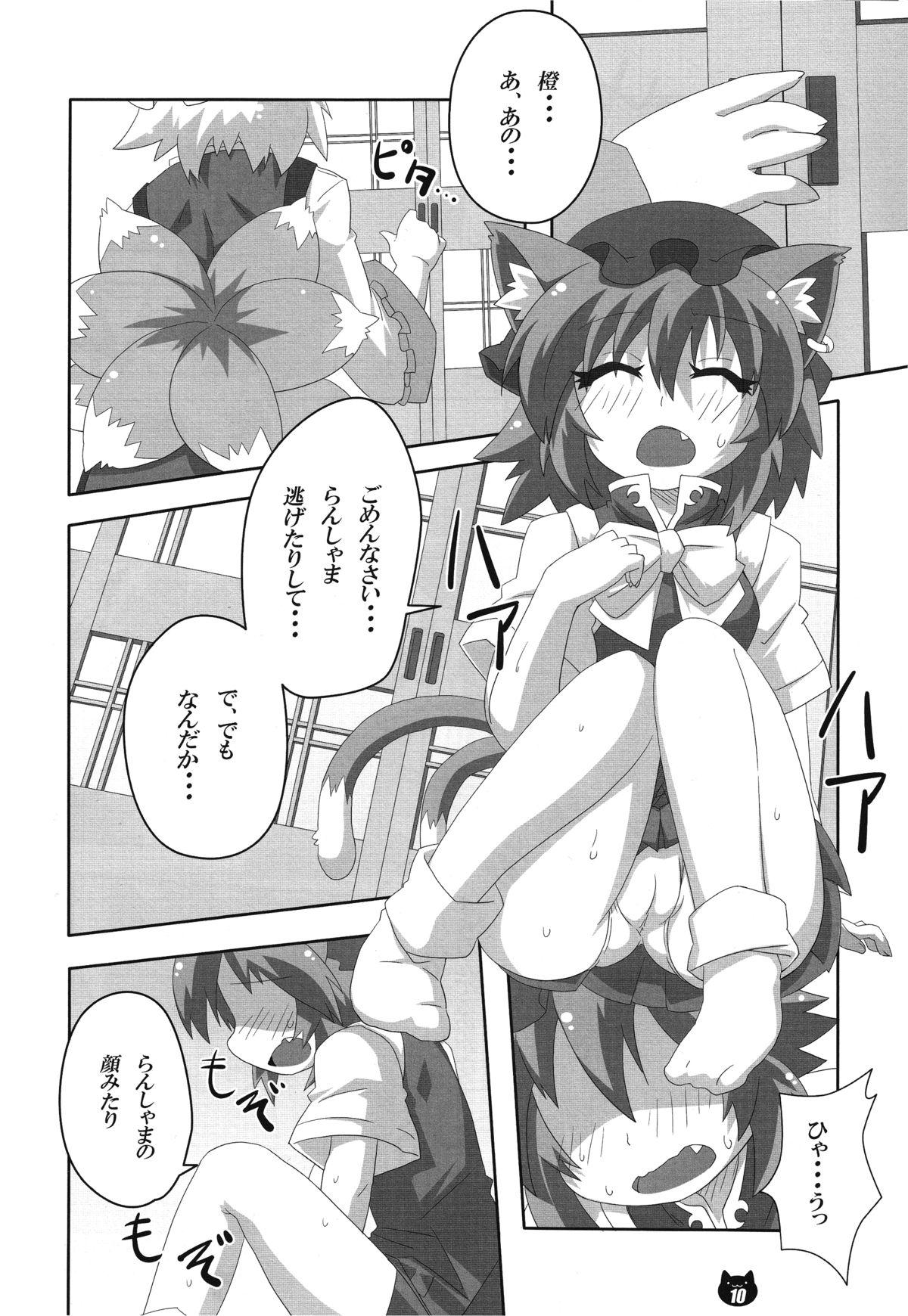 FOX&CAT Yakumoshiki 8