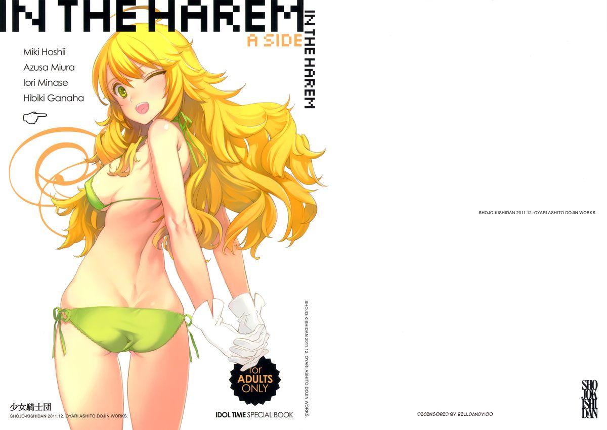 IN THE HAREM A SIDE 0
