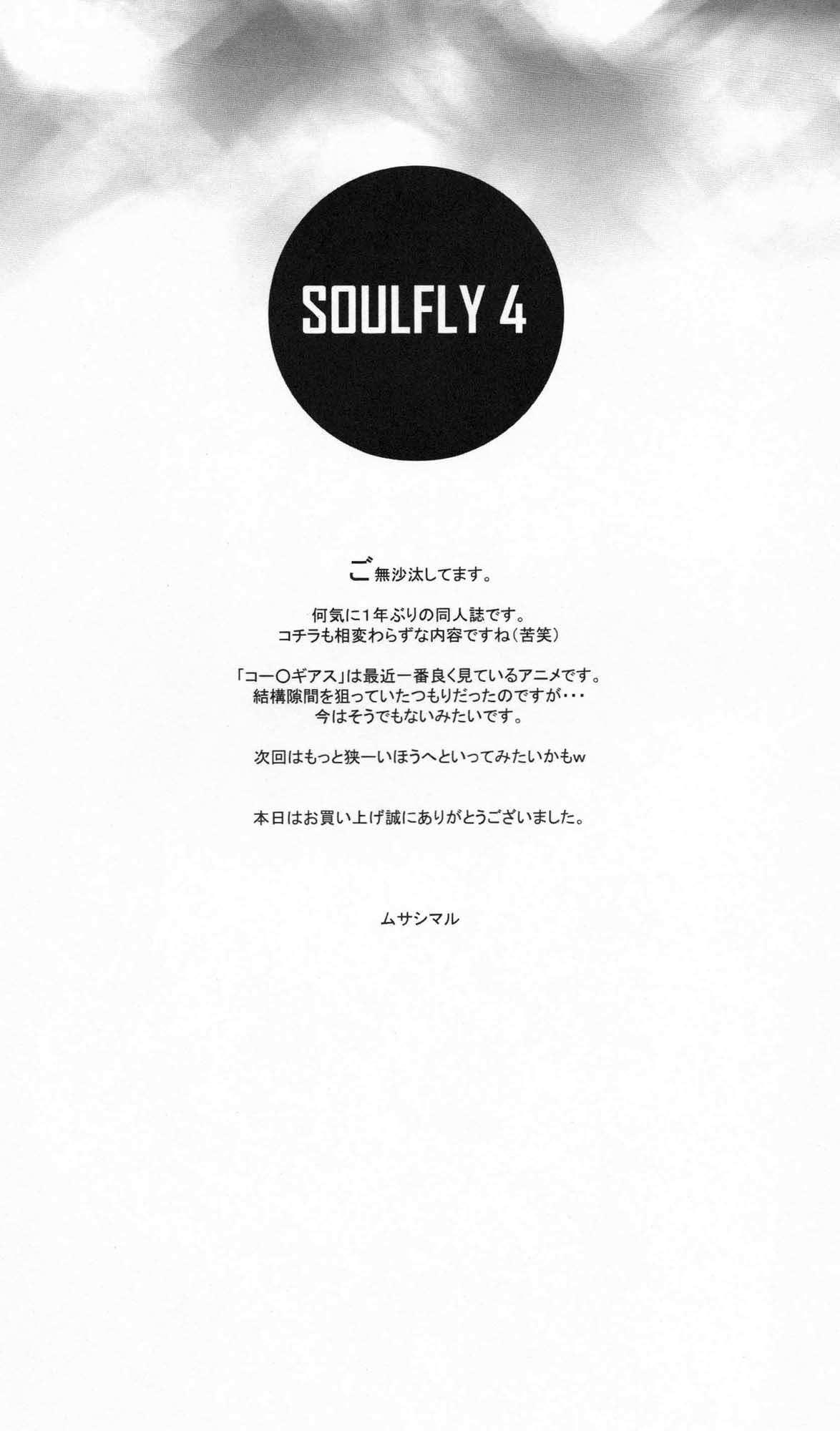 SOULFLY 4 19