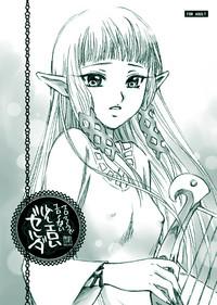 Erosou de Eroku nai Sukoshi Eroi Zelda 0