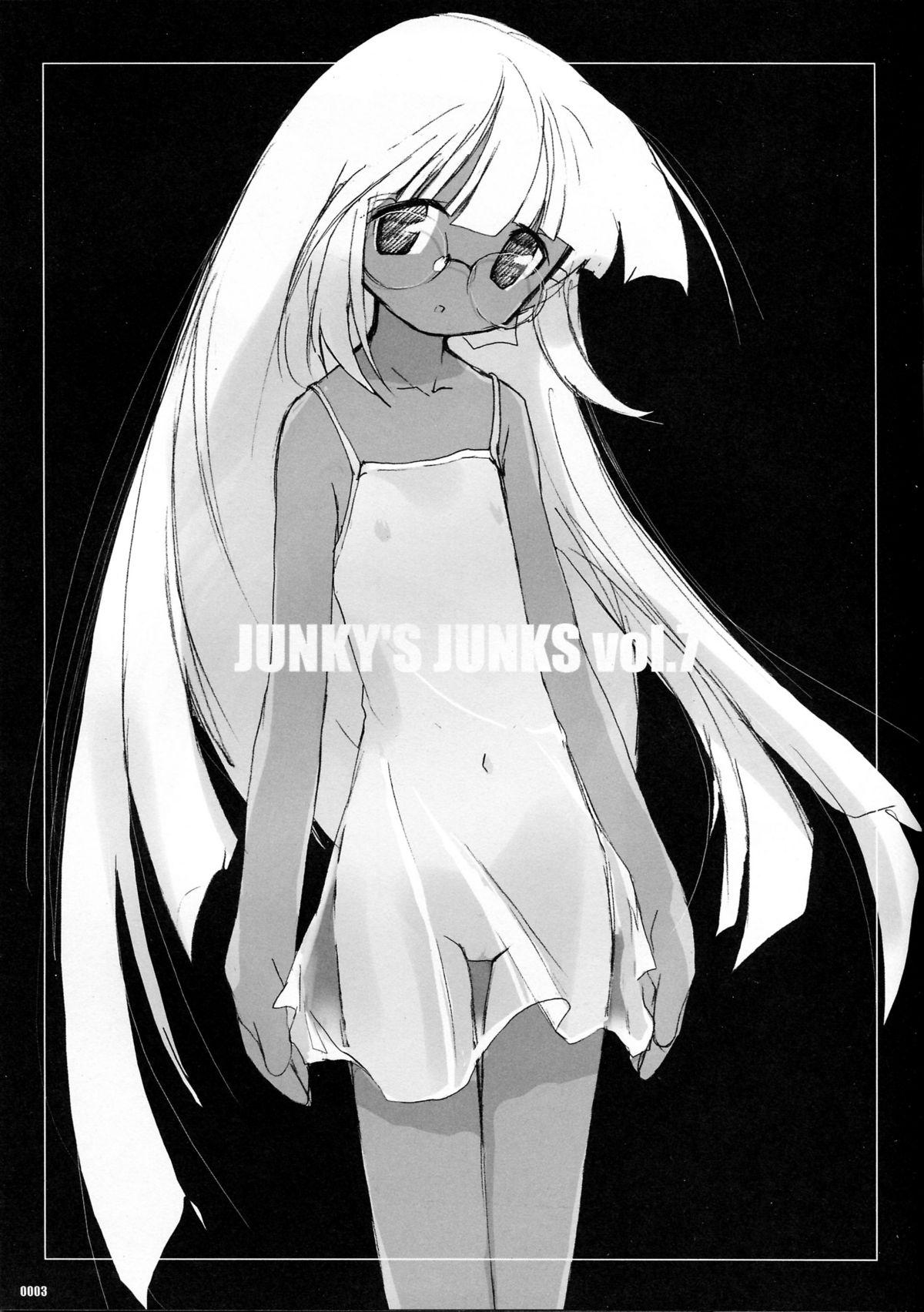 Long Hair Junky's Junks Vol. 7 Office - Page 2