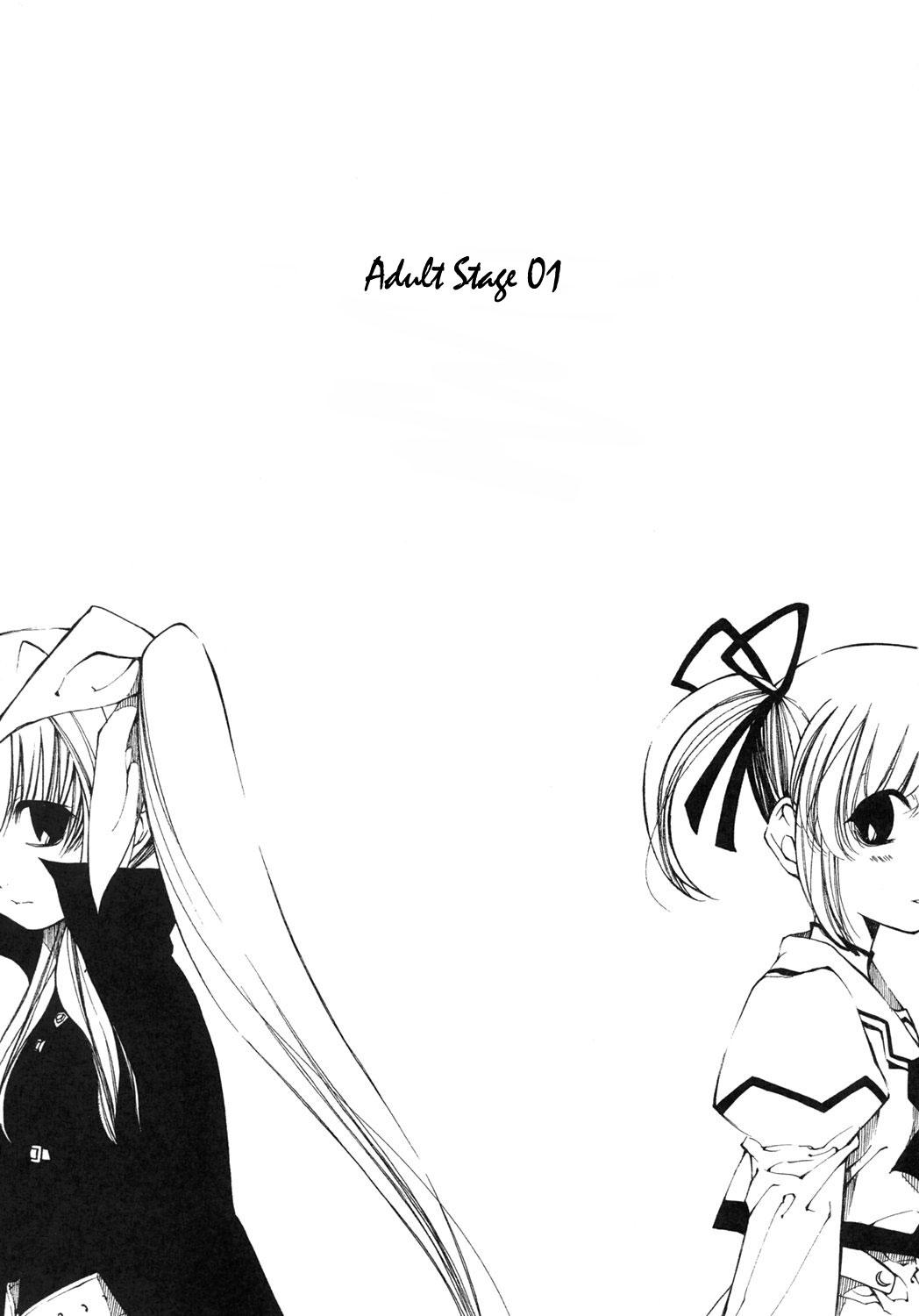 Mahou Shoujo Lyrical Nanoha Adult Stage 01 1