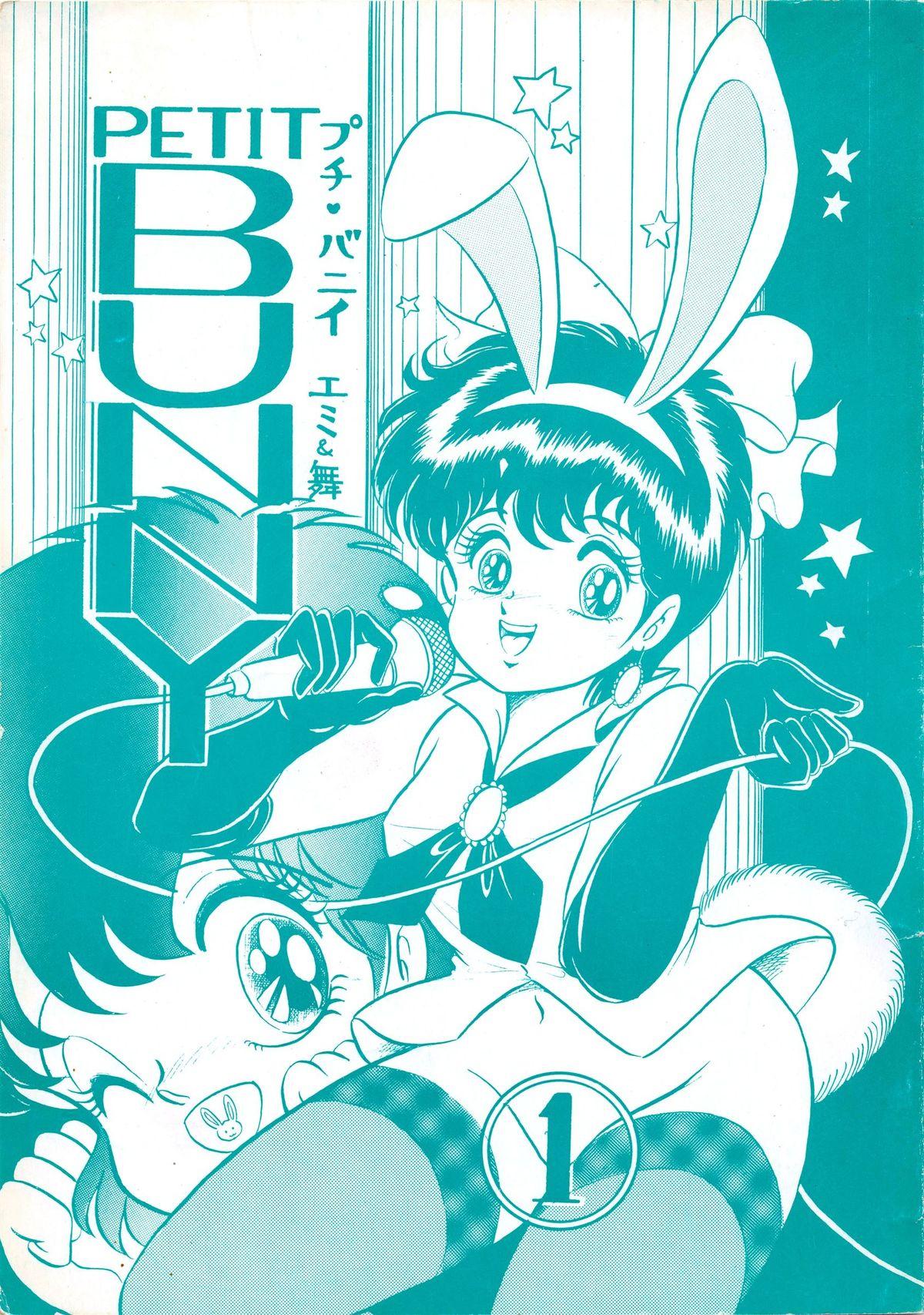 Threeway PETIT BUNNY Vol. 1 - Urusei yatsura Magical emi Nausicaa of the valley of the wind Camera - Picture 1