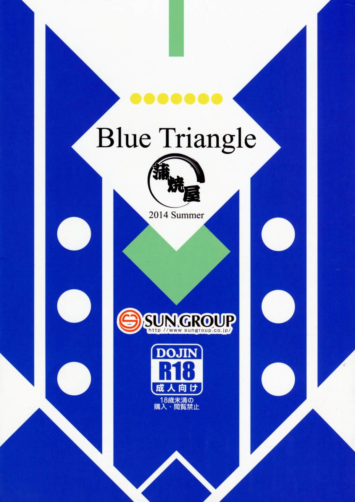 Blue Triangle 13