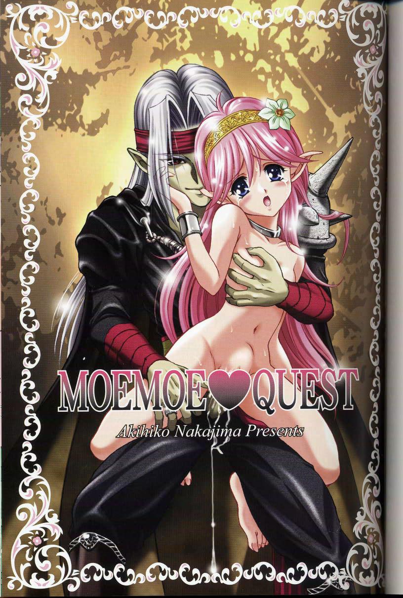 Moe Moe Quest 2