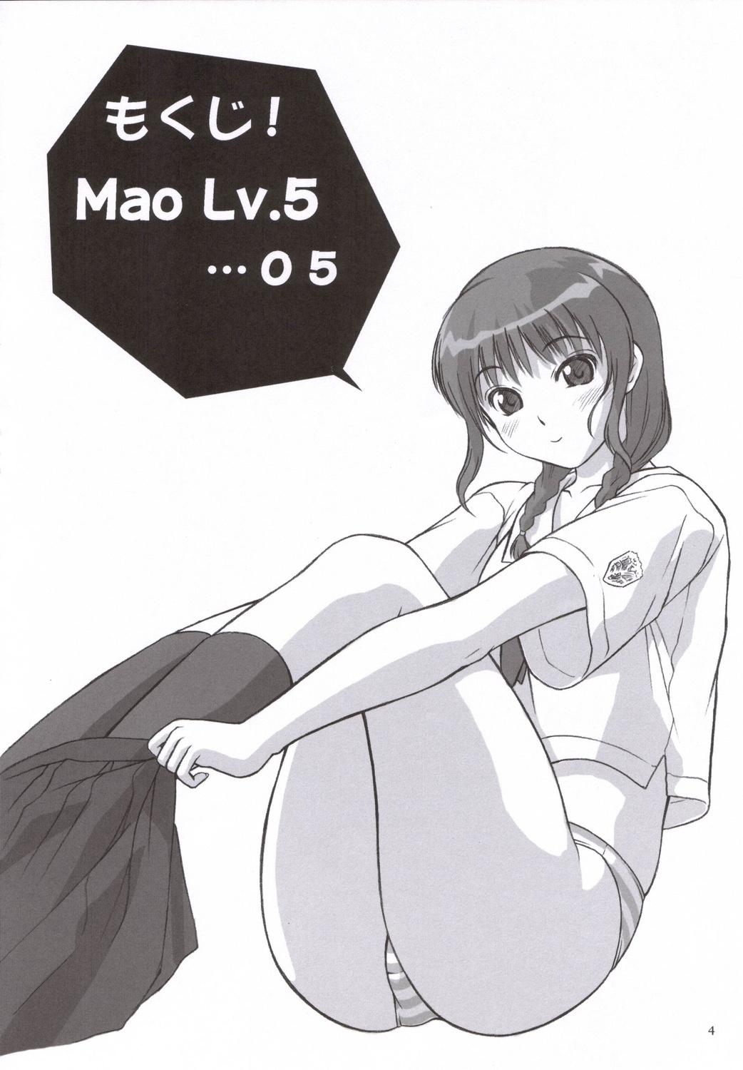 Mao Lv.5 2