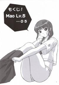 Mao Lv.5 3