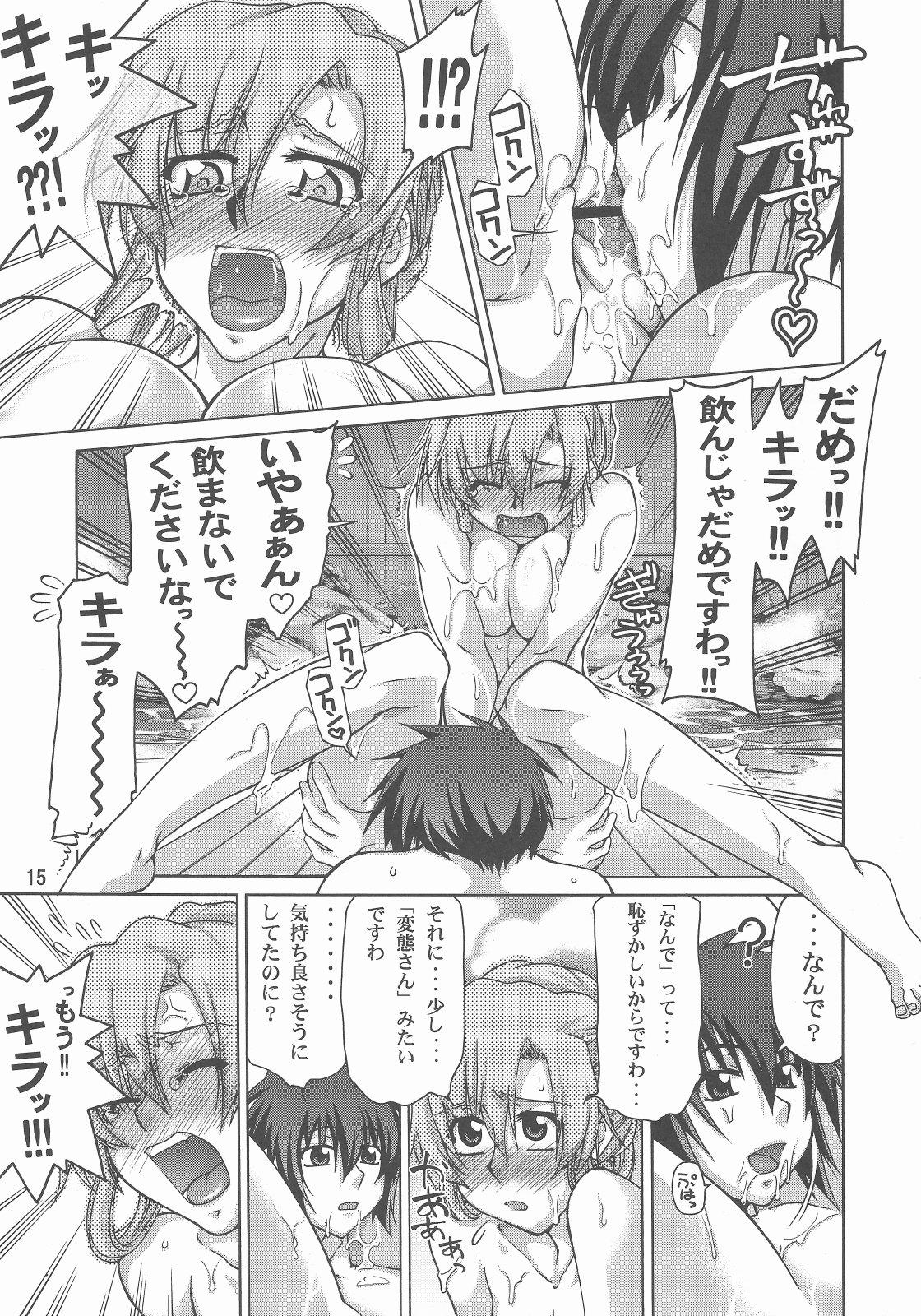 ガンダム seed エロ 同人 誌
