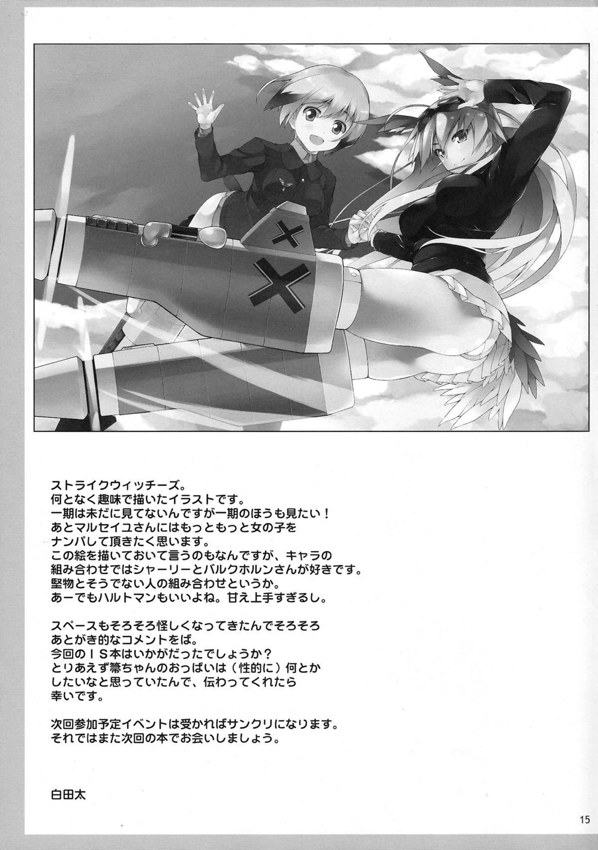 Mmf Shinonono Infinity - Infinite stratos Blow - Page 16