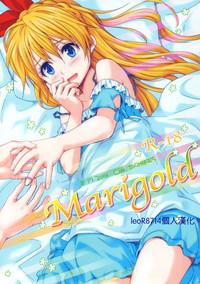 Marigold 1