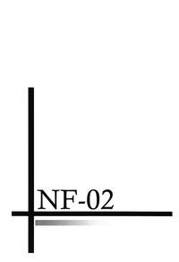 NF-02 2