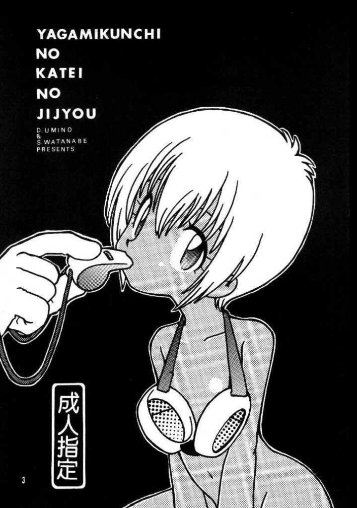 Sexy Whores Yagamikunchi no Katei no Jijyou - Digimon adventure Oil - Page 3