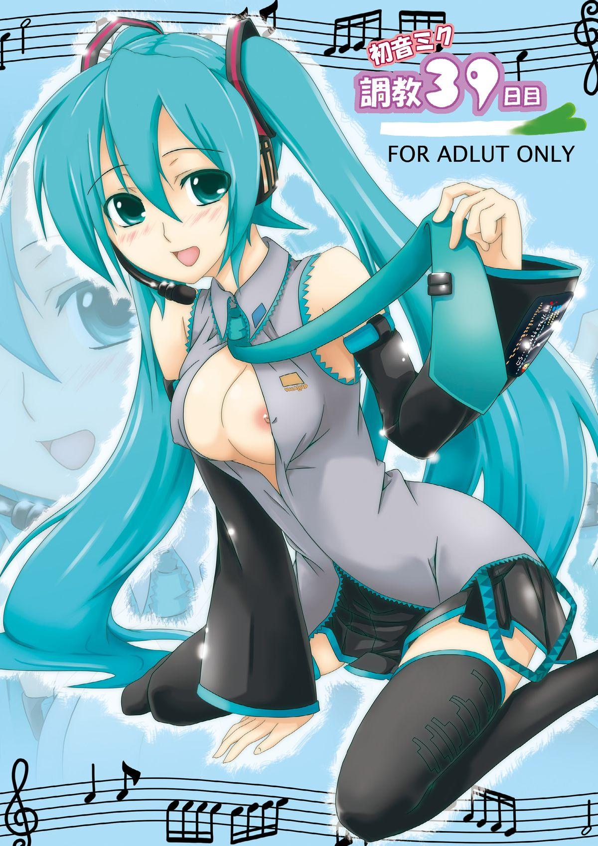 Toy Hatsune Miku Choukyou 39 Nichime - Vocaloid Toying - Picture 1