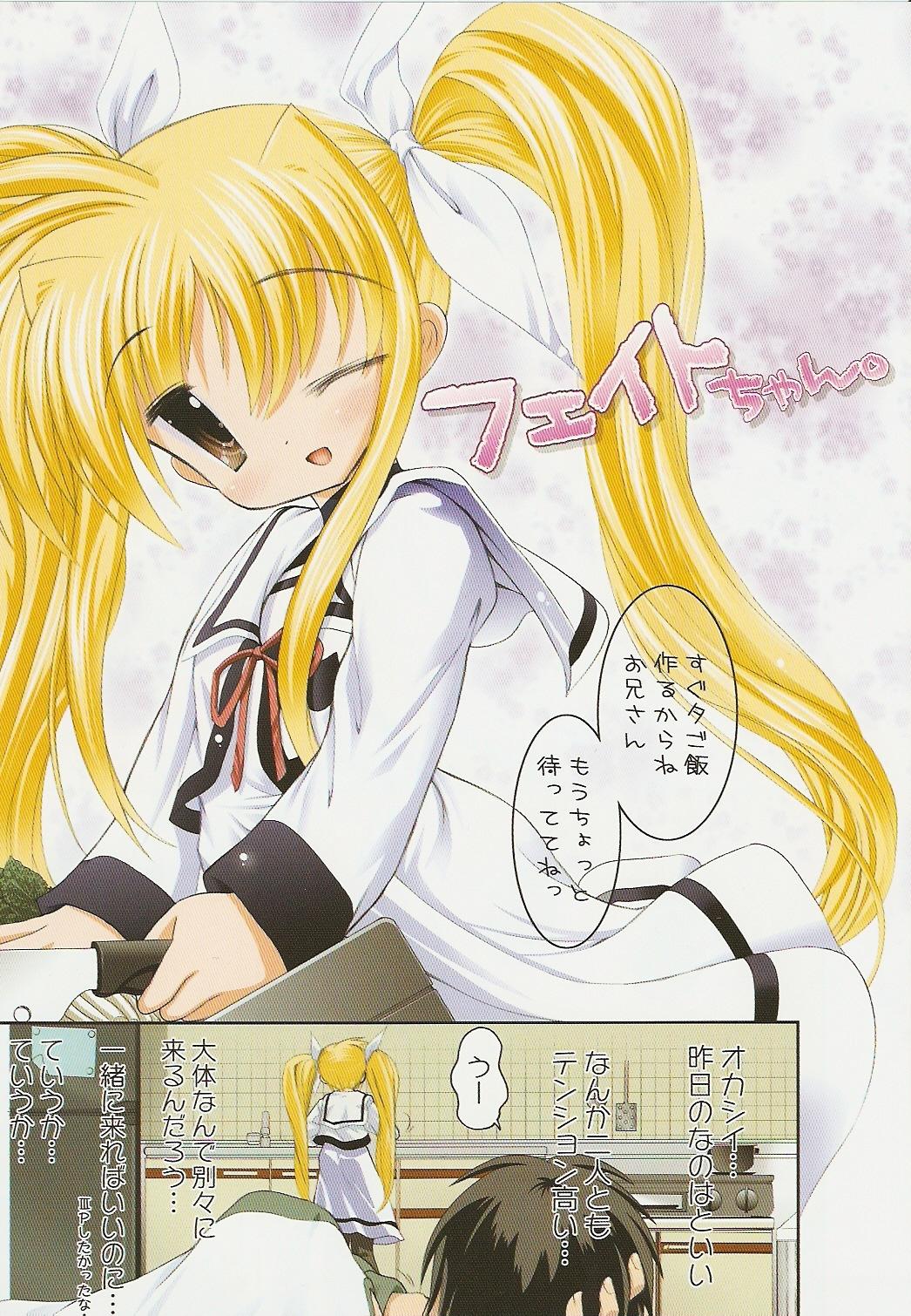 Nanoha san. +Fate-chan. Full Color Soushuuhen 25