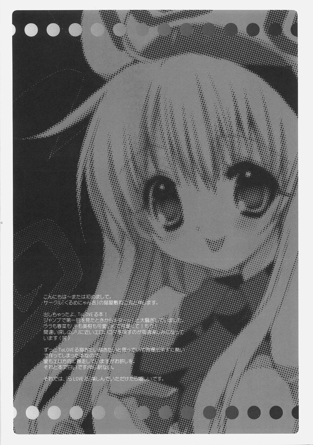 Studs (SC33) [Courmet-Nyankichi (Nekoyashiki Nekomaru)] La-Love-Ru (To LOVE-Ru) - To love-ru Str8 - Page 2