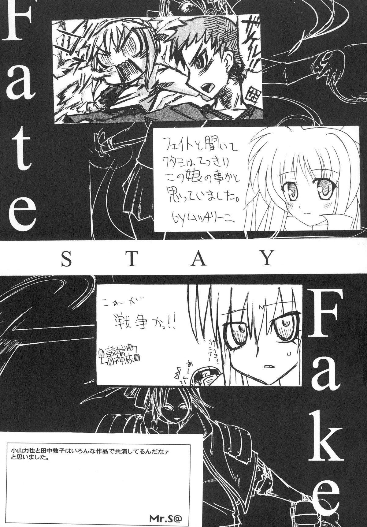 FATE STAY FAKE 27