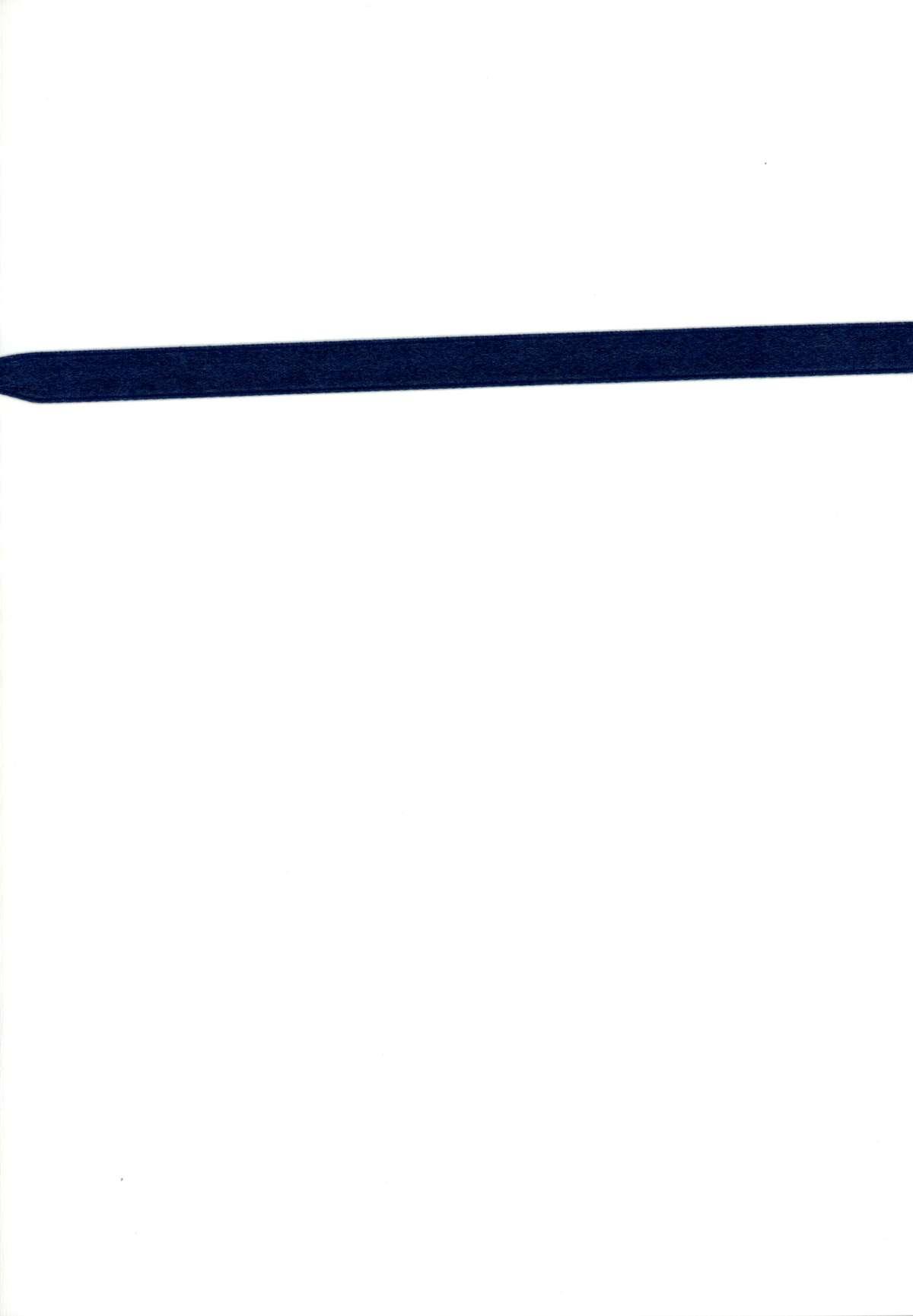Blue Ribbon 1