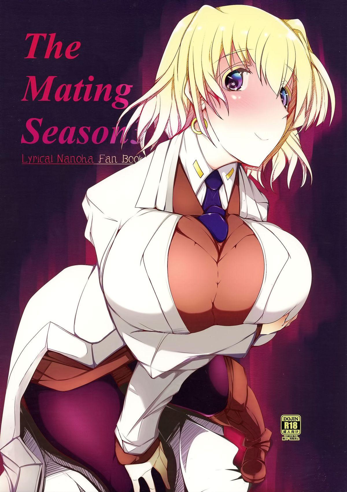 8teenxxx The Mating Season3 - Mahou shoujo lyrical nanoha Solo - Picture 1