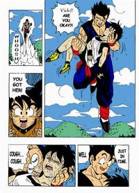 Dragon Ball H 6