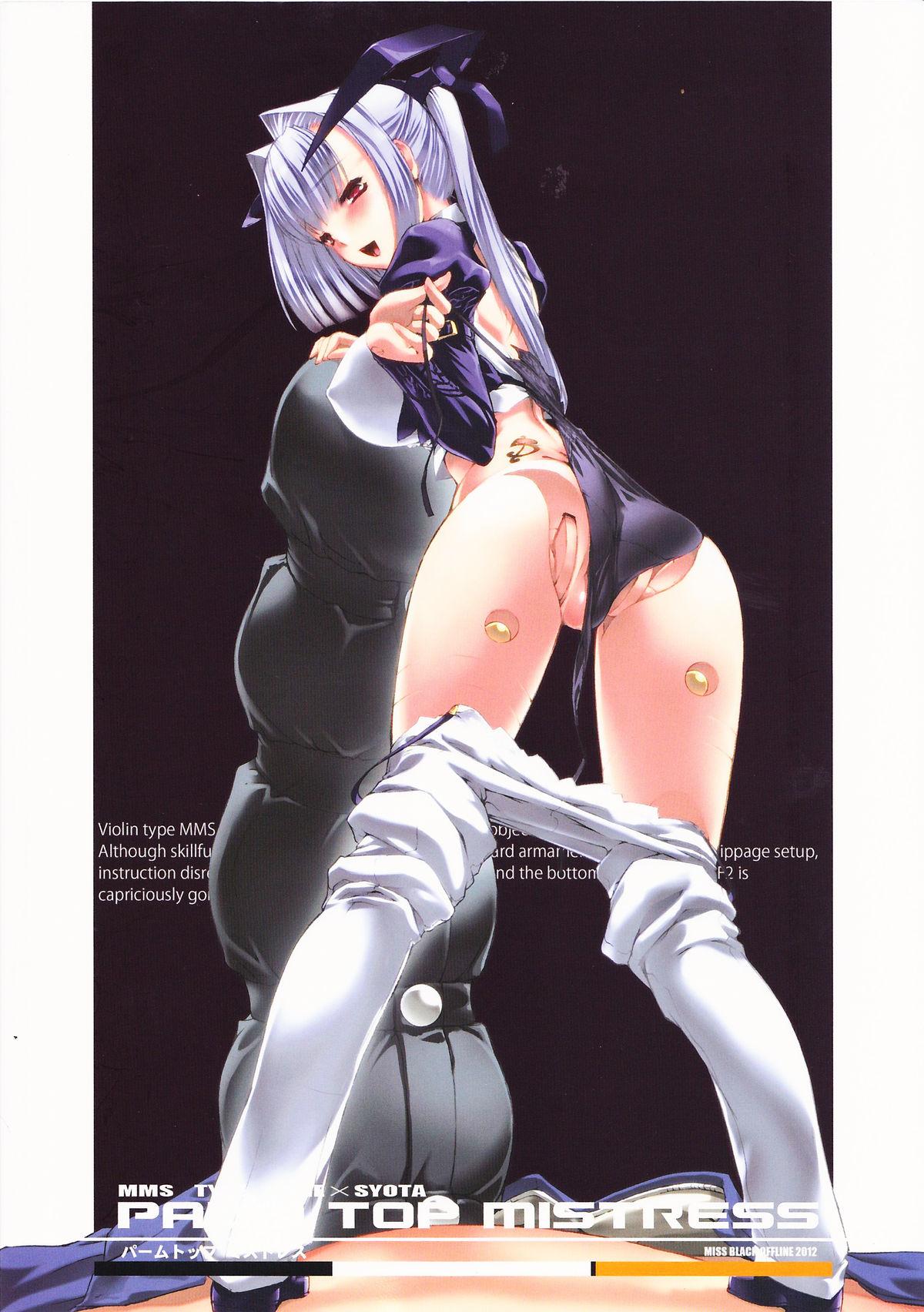 Riding Palm top mistress - Busou shinki Stockings - Page 31