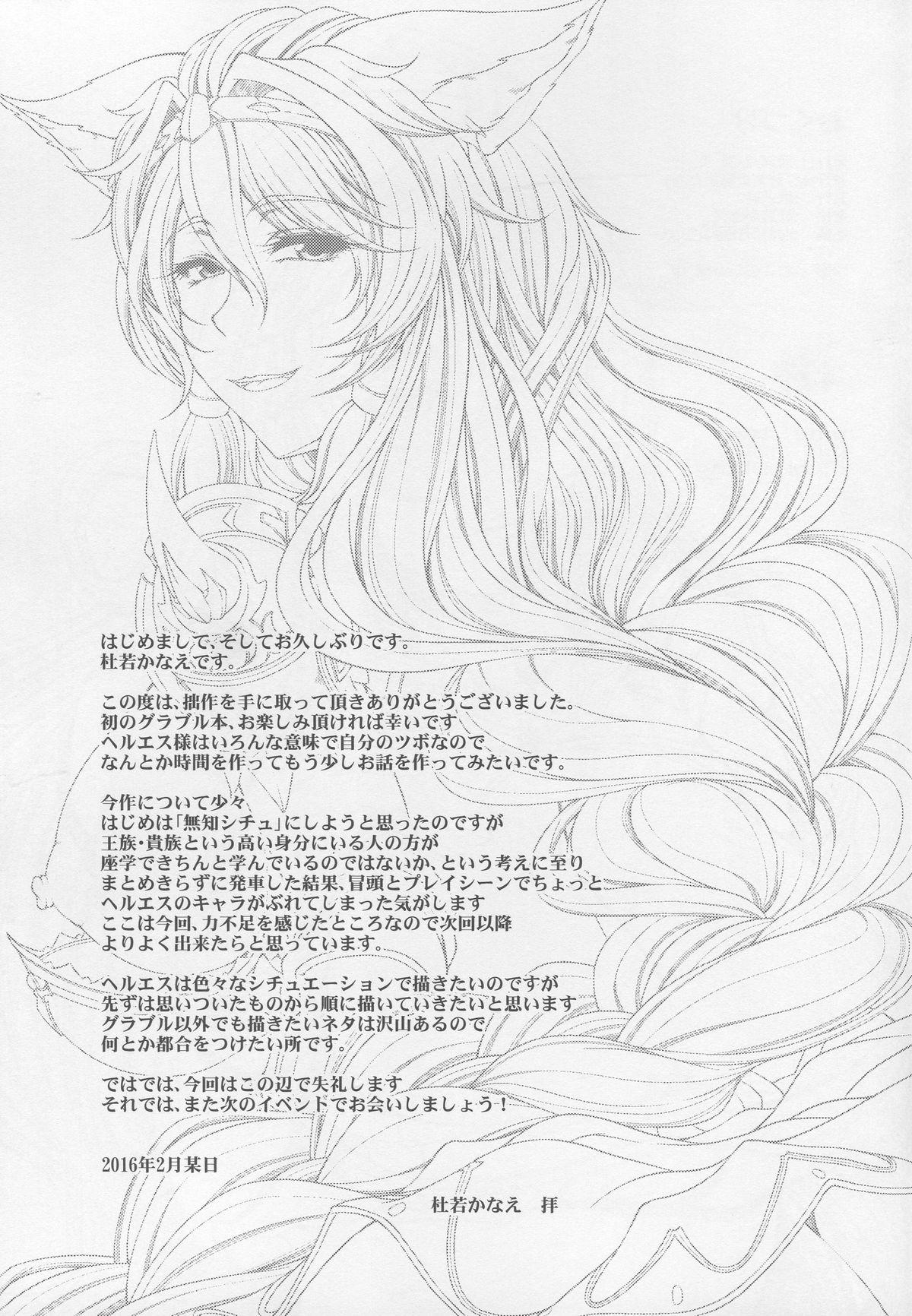 [Kakitsubata no Yashiro (Kakitsubata Kanae)] Soukuu no Chouki-tachi - One's Favorite Mistress of Grand Blue Sky (Granblue Fantasy) 15