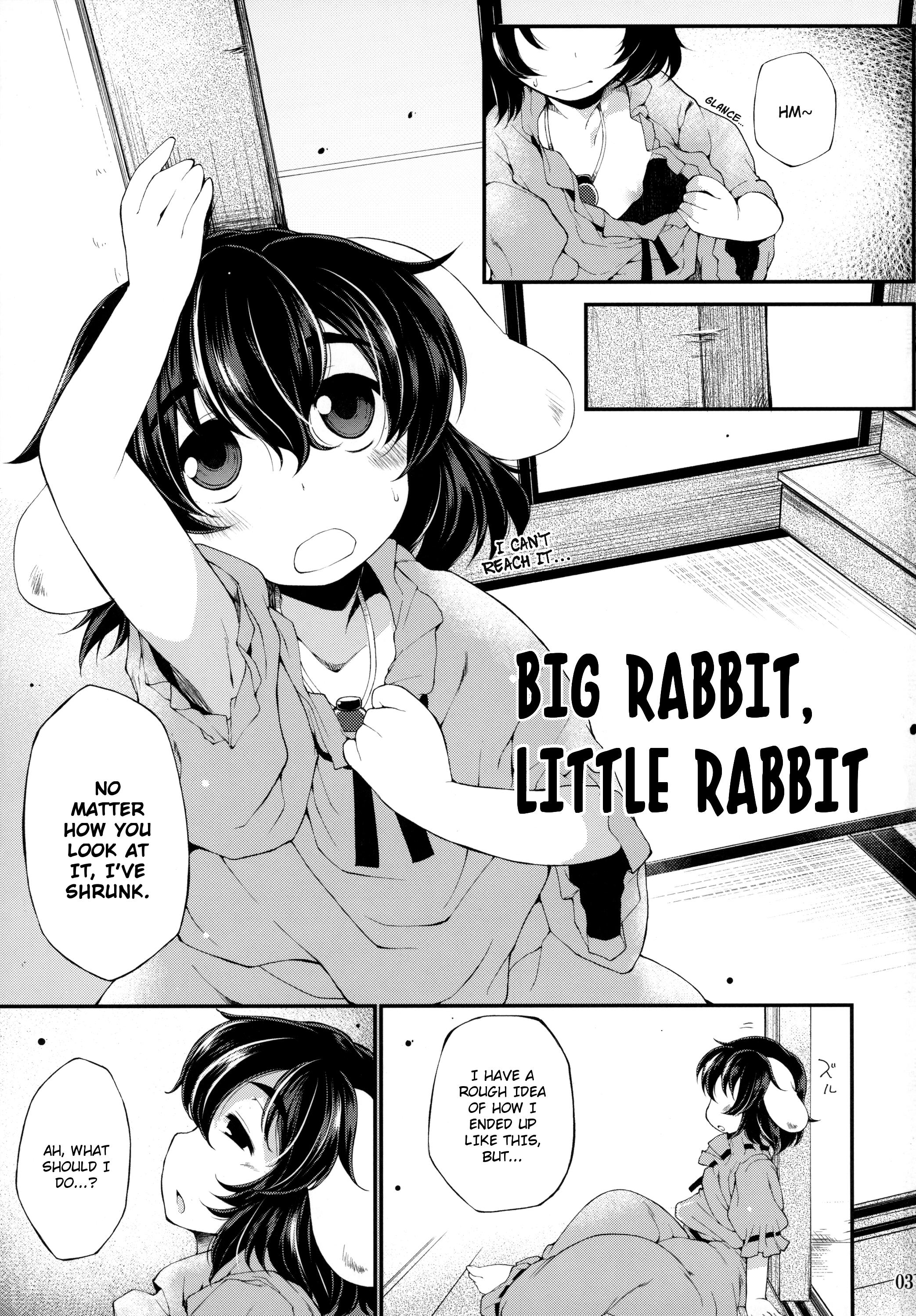 Ookina Usagi Chiisana Usagi | Big Rabbit, Little Rabbit 1