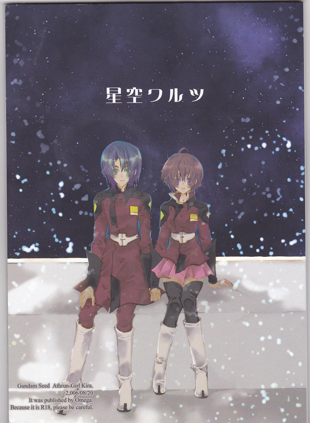 Gay Reality Hoshizora Waltz - Gundam seed destiny Celeb - Picture 1