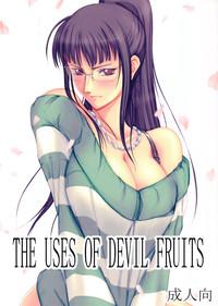 Akuma no Mi no Tsukaikata | The Use of Devil Fruits 1