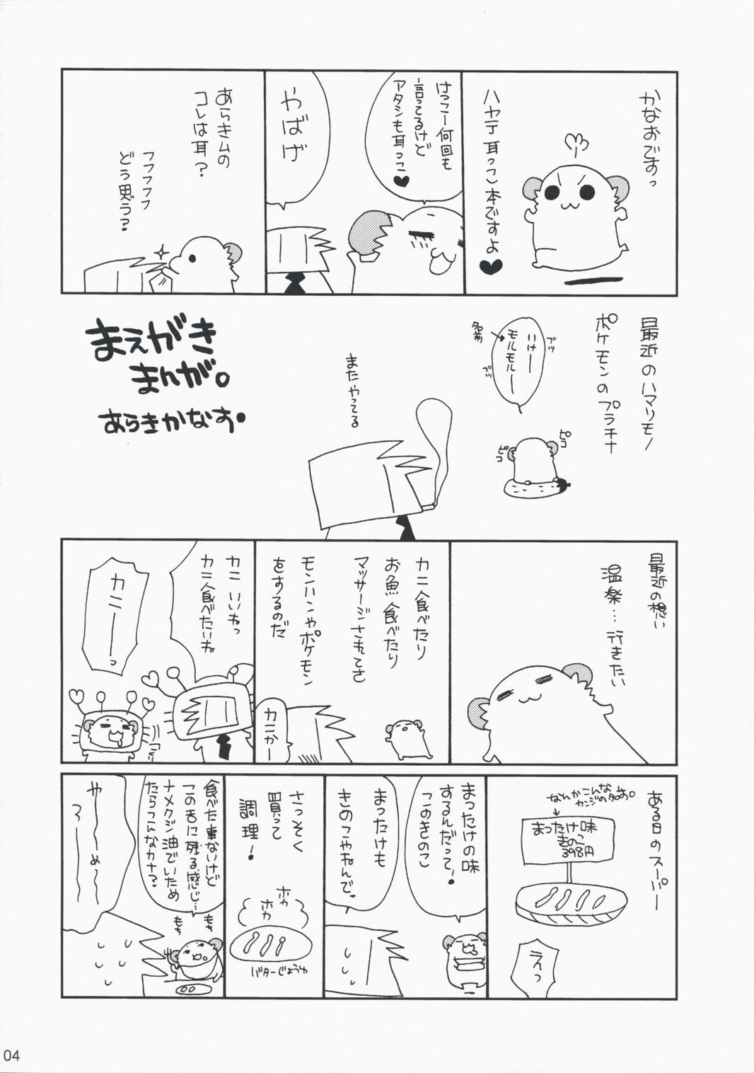 Black Cock HAPPY EDEN EXTRA 2 - Hayate no gotoku Bang - Page 3