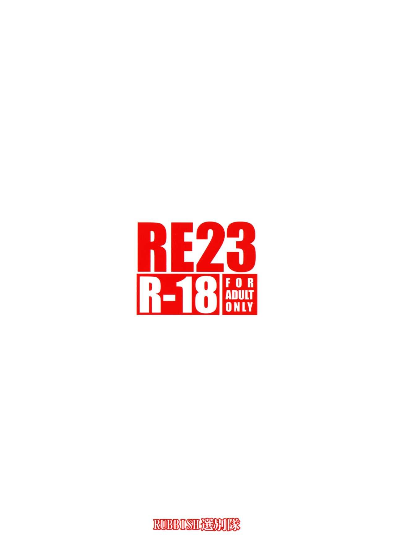 RE 23 31