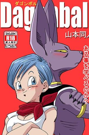 Submission Beerus X Bulma Doujin (English) ブルマが地球を救う! - Dragon ball z Upskirt - Page 1