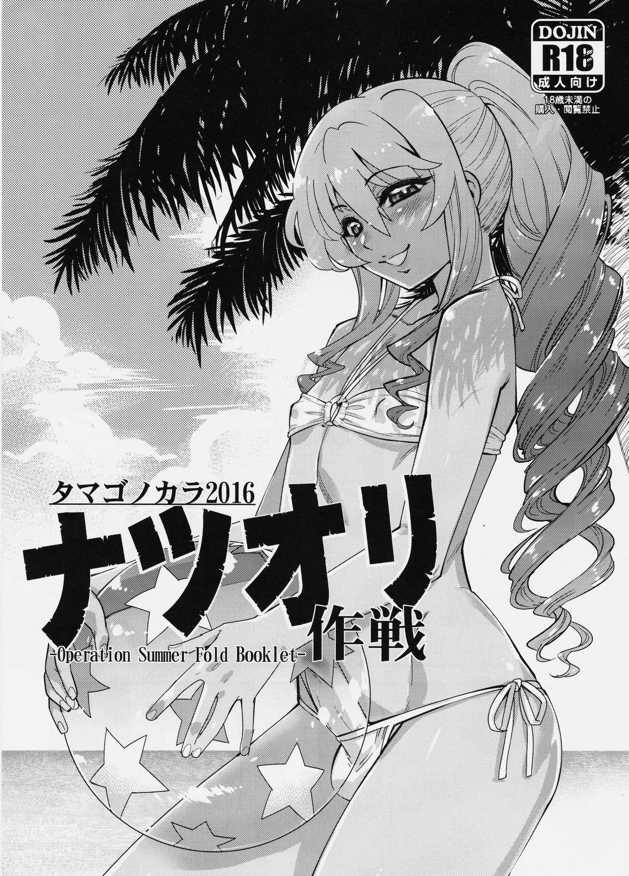 (C90) [Tamago no Kara (Shiroo)] -Operation Summer Fold Booklet- 0