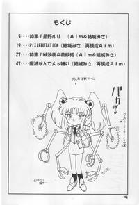TWINTAIL PROJECT 2