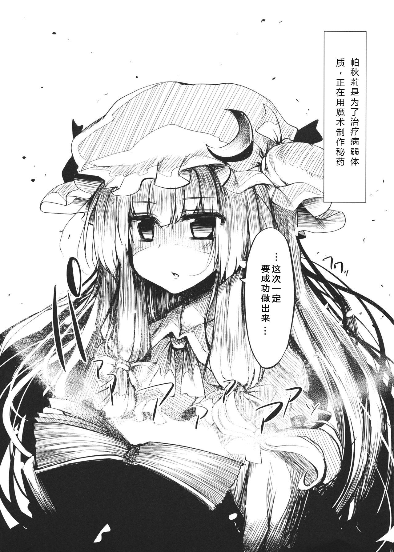 (C81) [Marked-two (Maa-kun)] Marked-two -code:4- (Touhou Project) [Chinese] [漫之大陆汉化组] 2