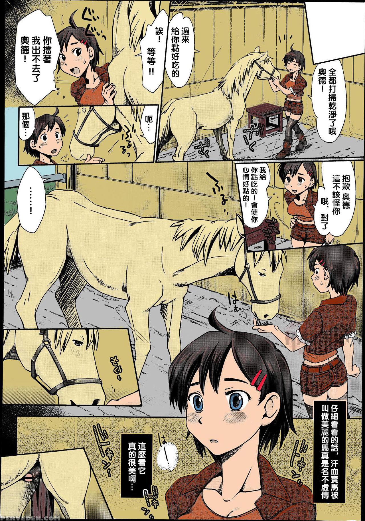 Himitsu no Umanari Tokubetsu Lesson | The Secret to Horses, Special Lesson 4