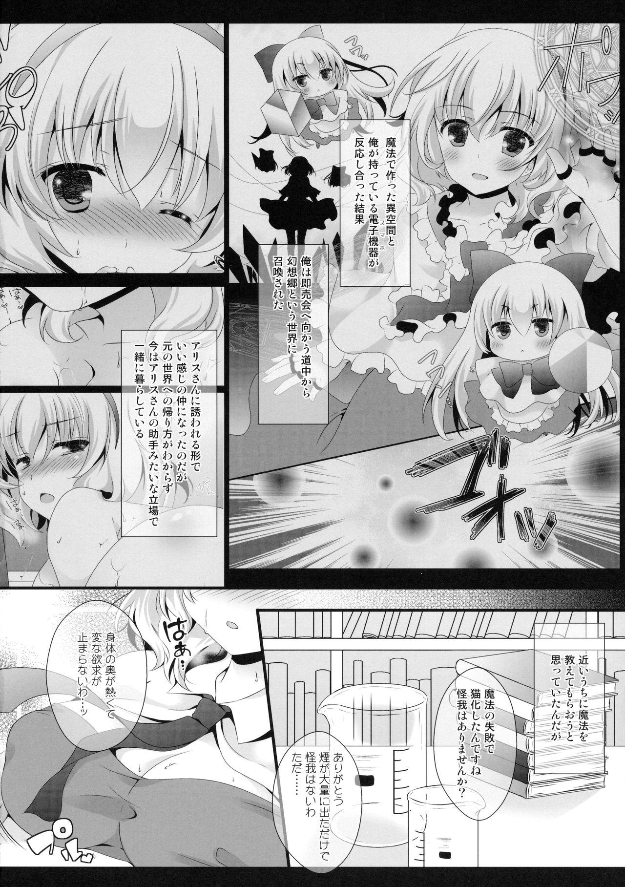 Ass Fucked Alice World Omorashi Nyanko - Touhou project Publico - Page 5