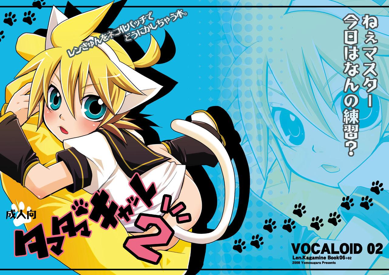 Foot Worship Tamatama Cat 2 - Vocaloid Celebrity - Page 2