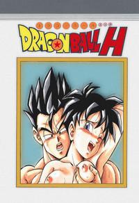 Dragon Ball H - Gohan & Videl 0