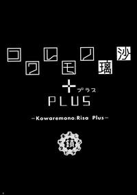 Kowaremono:Risa PLUS + Paper 3