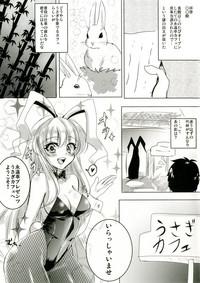 Bunny Mokotan to Nakayoshi Sex 2