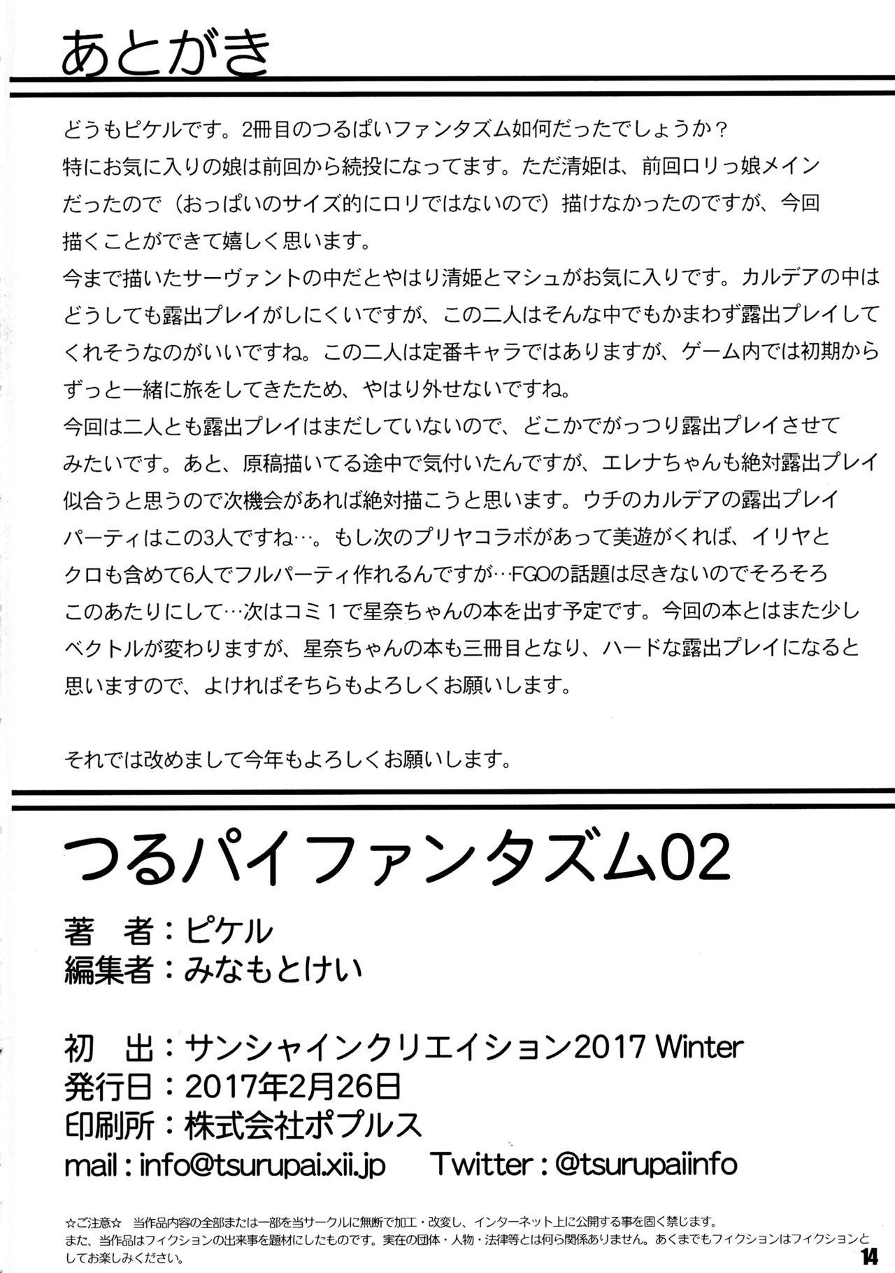 Realamateur Tsurupai Phantasm 02 - Fate grand order Fate kaleid liner prisma illya Buttplug - Page 14