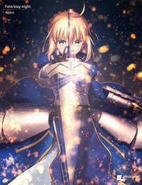 Fate/stay nigh FAKE Avalont 1