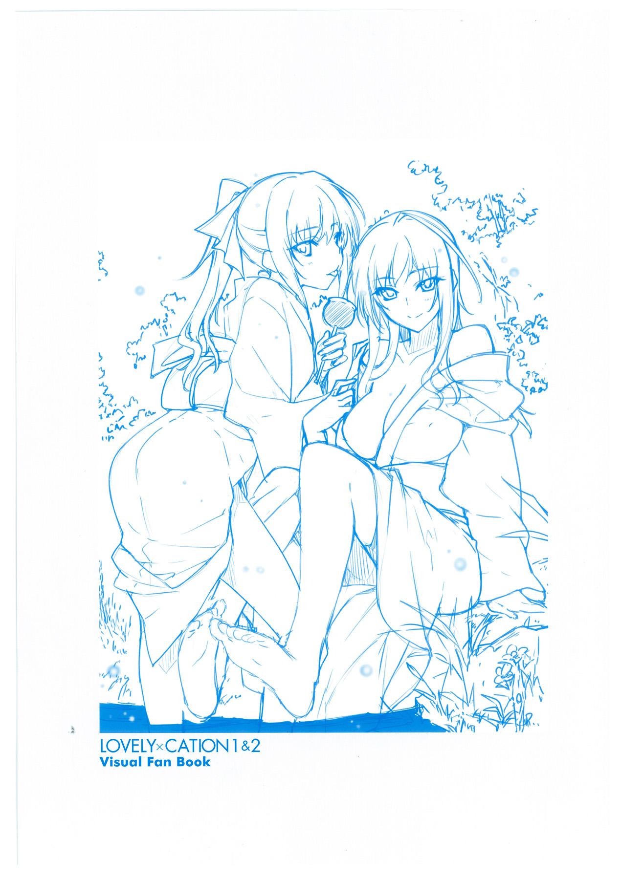 LOVELY CATION 1&2 VISUAL FAN BOOK 195