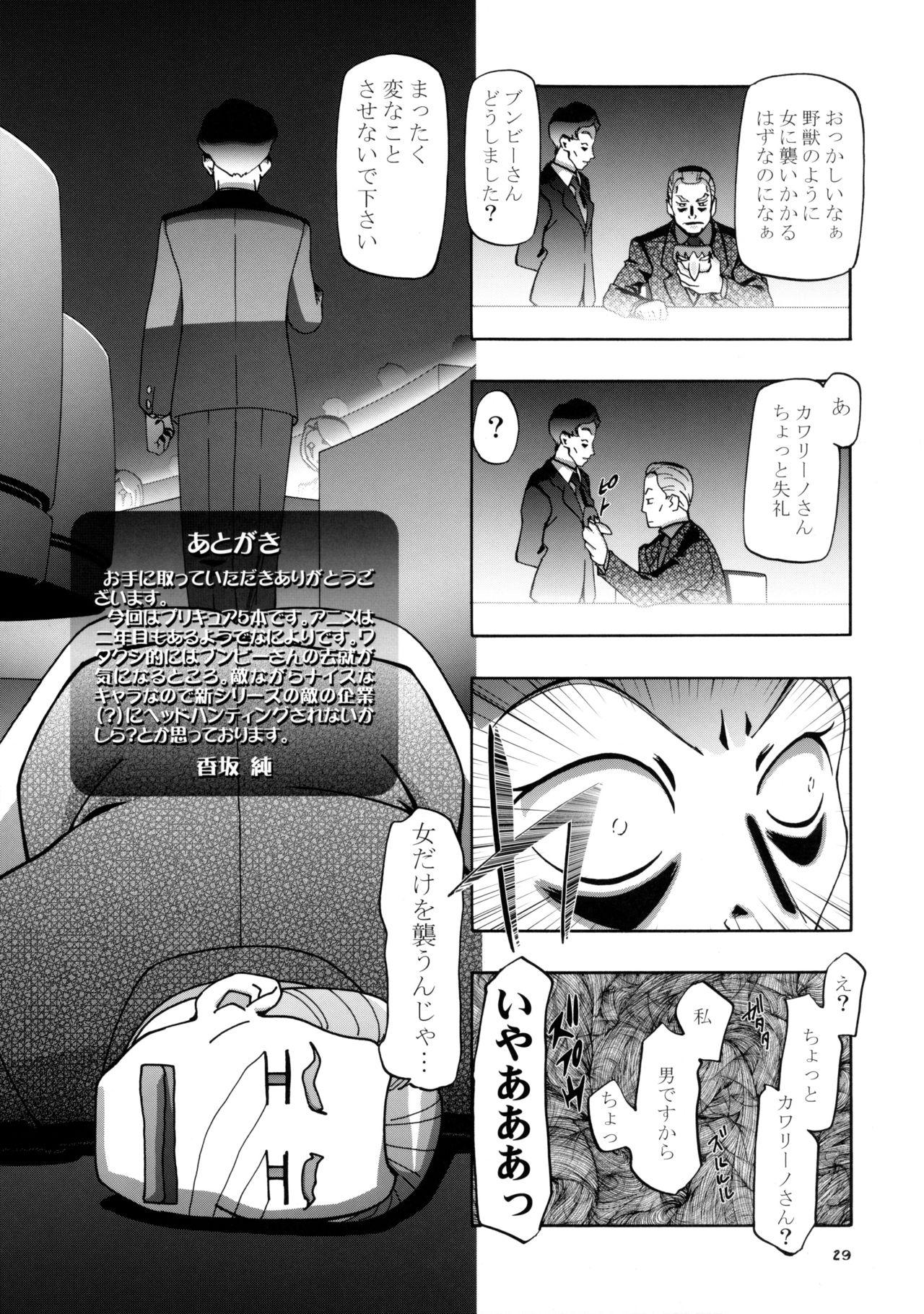 Hot Teen Mizugi de Punicure - Yes precure 5 Carro - Page 29