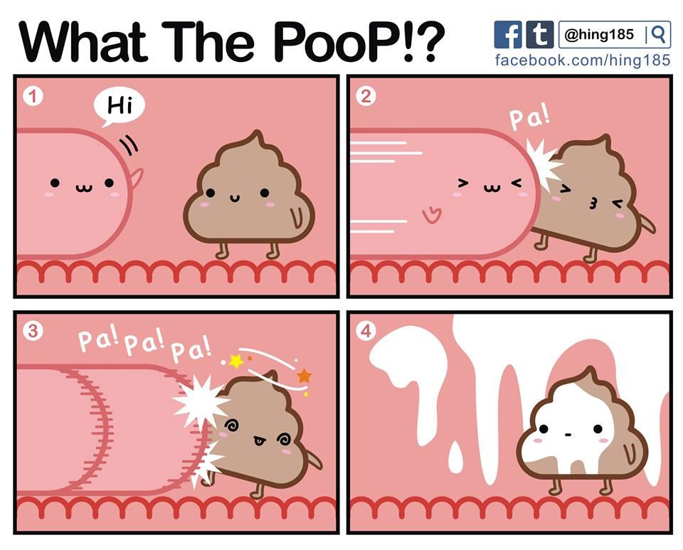 What the PooP 0