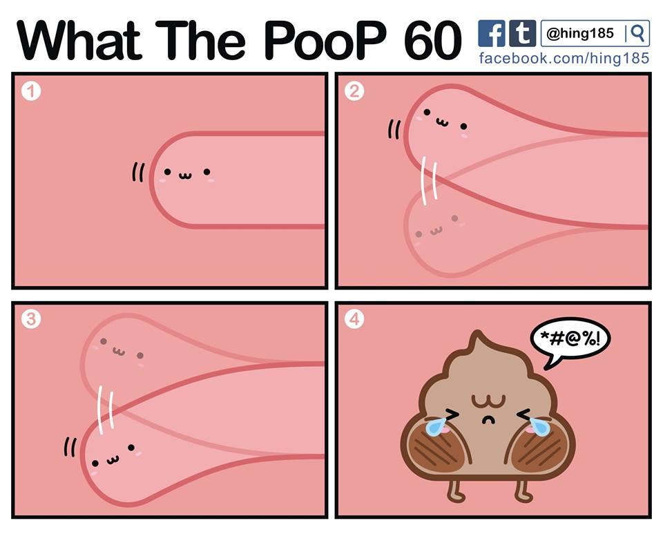 What the PooP 122
