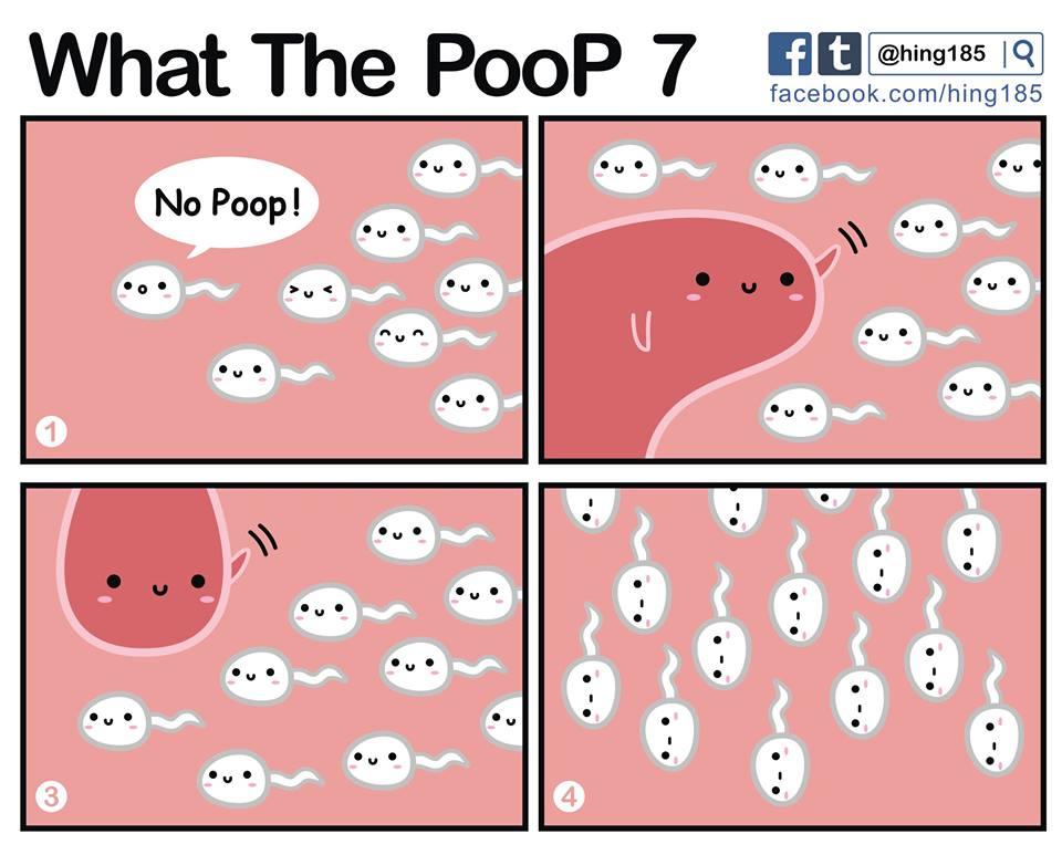What the PooP 12